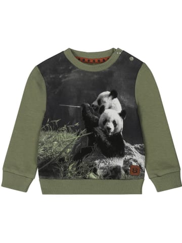 Dirkje Sweatshirt in Grün