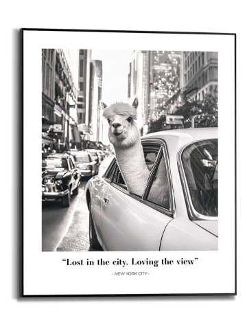 Orangewallz Ingelijste kunstdruk "Alpaca New York" - (B)40 x (H)50 cm