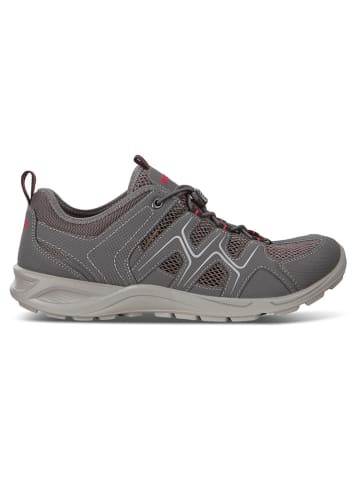 Ecco Wandelschoenen "Terracruise" grijs