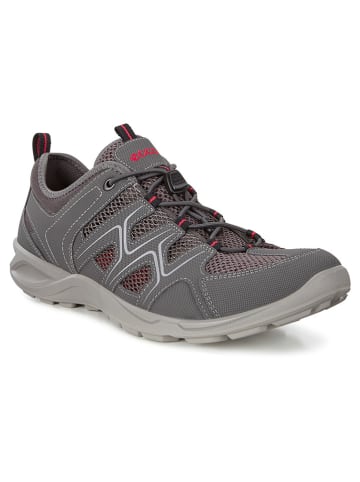 Ecco Wanderschuhe "Terracruise" in Grau