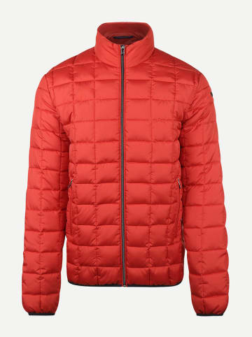 McGregor Tussenjas rood