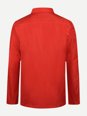McGregor Jas rood