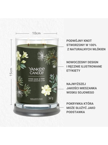 Yankee Candle Geurkaars "Silver Sage & Pine" - 567 g