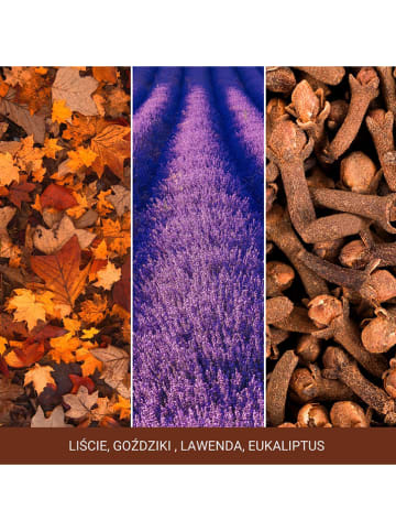 Yankee Candle Geurkaars "Autumn Daydream" - 567 g