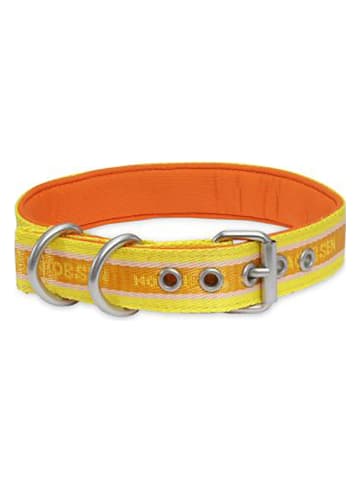 VOV & VUF Hundehalsband in Gelb/ Orange