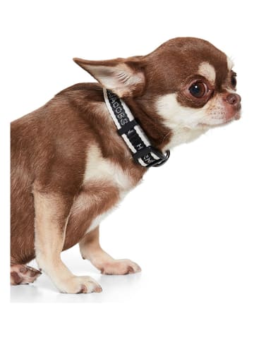 VOV & VUF Hundehalsband in Schwarz/ Weiß