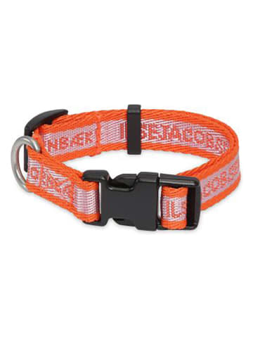 VOV & VUF Hondenhalsband oranje/paars