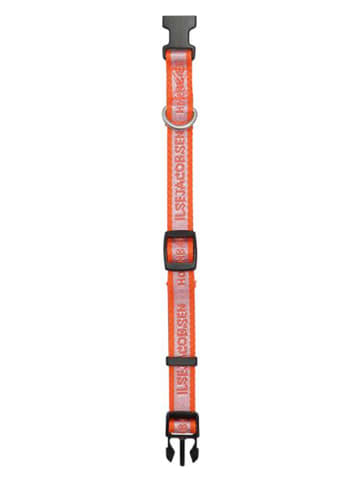 VOV & VUF Hondenhalsband oranje/paars