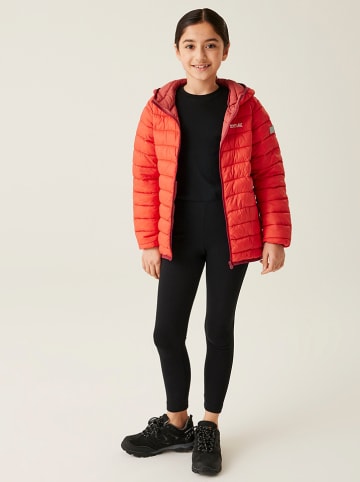 Regatta Steppjacke "Marizion" in Rot