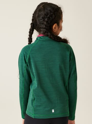 Regatta Funktionsshirt "Berley" in Grün