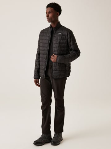 Regatta Steppjacke "Hillpack II" in Schwarz
