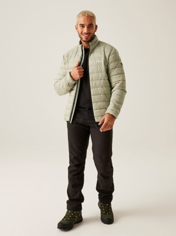 Regatta Steppjacke "Marizion" in Grün