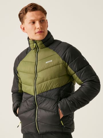 Regatta Steppjacke "Dalent" in Anthrazit/ Grün