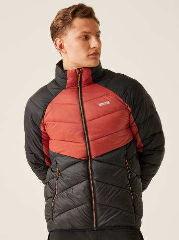 Regatta Steppjacke "Dalent" in Schwarz/ Rot