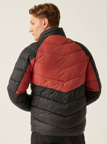 Regatta Steppjacke "Dalent" in Schwarz/ Rot