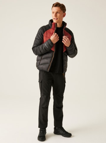 Regatta Steppjacke "Dalent" in Schwarz/ Rot