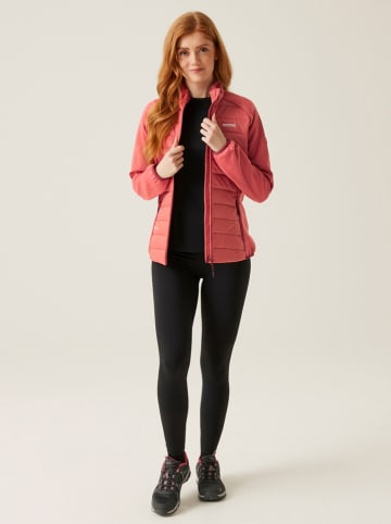 Regatta Hybridjacke "Clumber V" in Pink