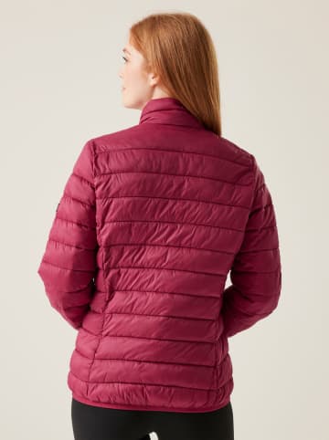 Regatta Steppjacke "Marizion" in Pink