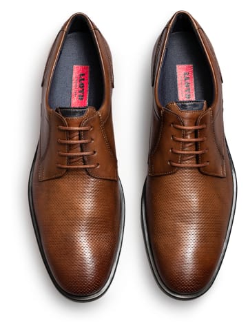 LLOYD Leder-Schnürschuhe "Lance" in Braun
