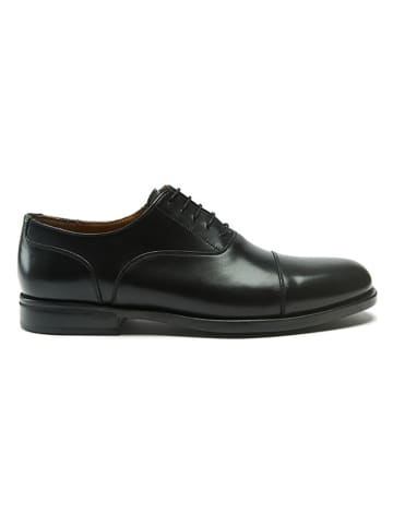 British Passport Leder-Schnürschuhe in Schwarz