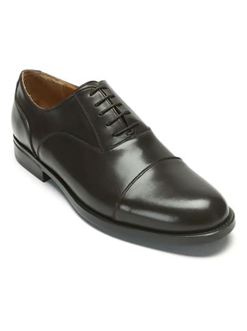 British Passport Leren veterschoenen bruin