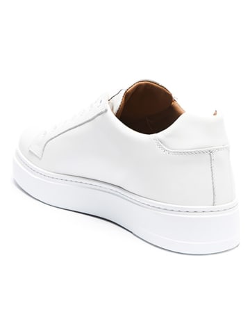 British Passport Leren sneakers wit