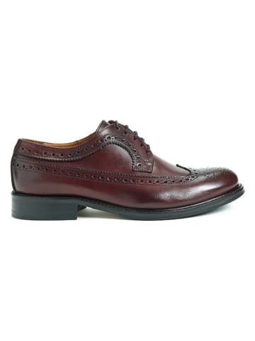 British Passport Leder-Schnürschuhe in Bordeaux
