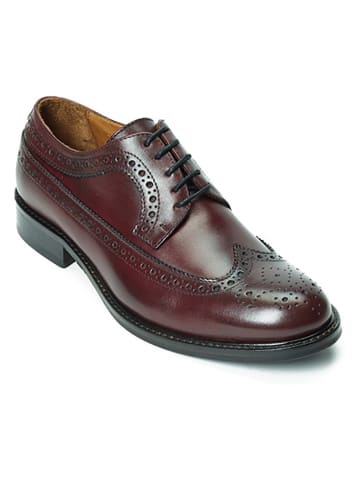 British Passport Leder-Schnürschuhe in Bordeaux