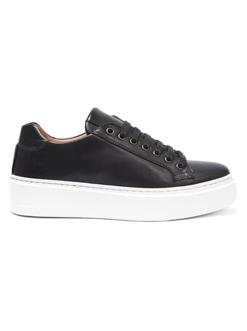 British Passport Leren sneakers zwart
