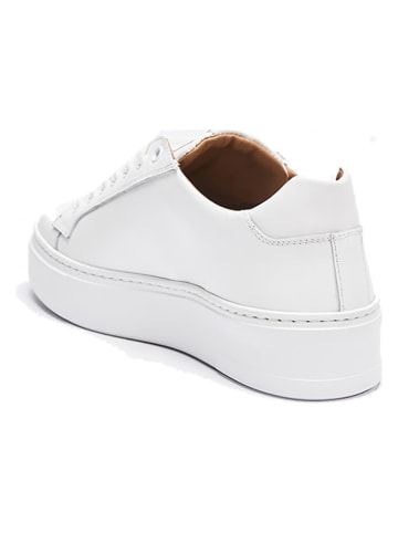 British Passport Leren sneakers wit