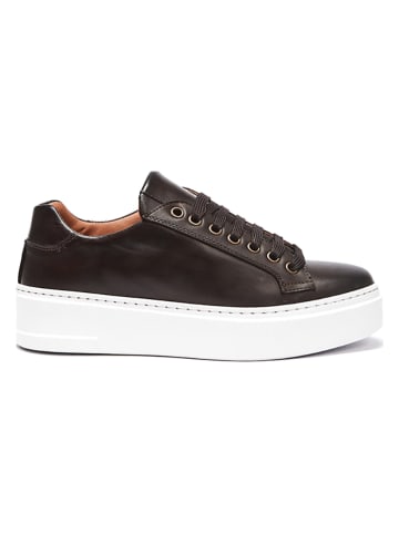 British Passport Leder-Sneakers in Braun