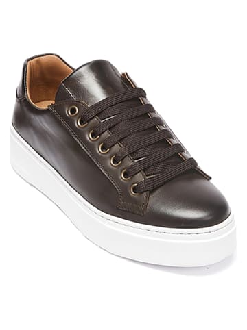British Passport Leren sneakers bruin