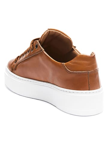 British Passport Leder-Sneakers in Hellbraun