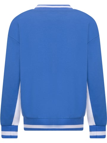Converse Sweatshirt blauw