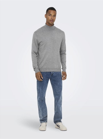 ONLY & SONS Rollkragenpullover in Hellgrau