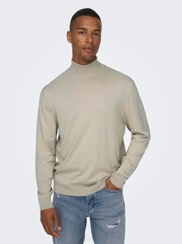 ONLY & SONS Coltrui beige