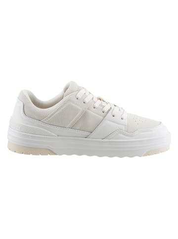 Tommy Hilfiger Shoes Leder-Sneakers in Weiß/ Beige