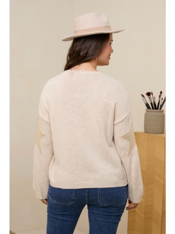 Curvy Lady Pullover in Beige