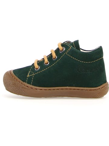 Naturino Leder-Lauflernschuhe "Cocoon" in Grün