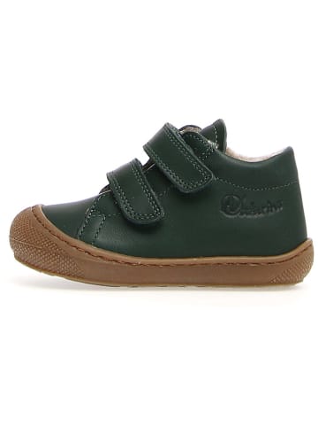Naturino Leder-Lauflernschuhe "Cocoon" in Grün