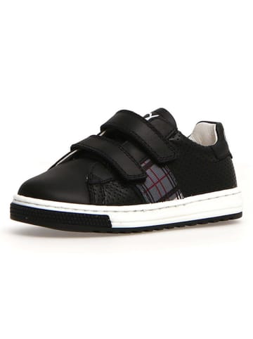 Naturino Leder-Sneakers "Seam" in Schwarz