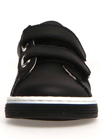 Naturino Leder-Sneakers "Seam" in Schwarz
