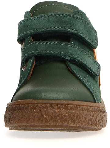 Naturino Leder-Sneakers "Albus" in Grün