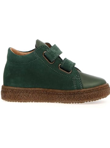 Naturino Leder-Sneakers "Albus" in Grün