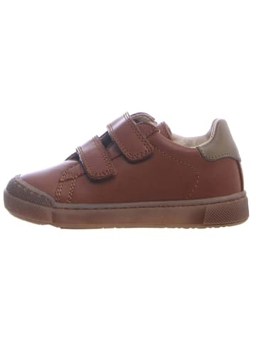 Naturino Leder-Sneakers "Eindhoven" in Braun