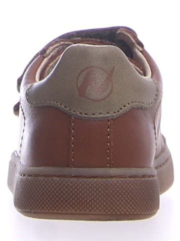 Naturino Leder-Sneakers "Eindhoven" in Braun