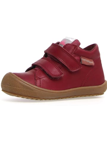 Naturino Leder-Sneakers "Raintastik" in Rot