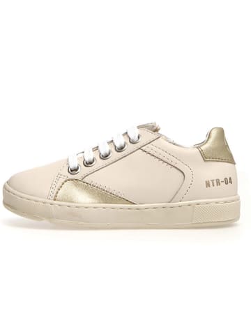 Naturino Leder-Sneakers "Quar" in Beige/ Gold