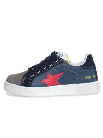 Naturino Leder-Sneakers "Pinn" in Dunkelblau/ Grau