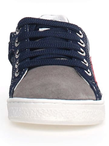 Naturino Leren sneakers "Pinn" donkerblauw/grijs